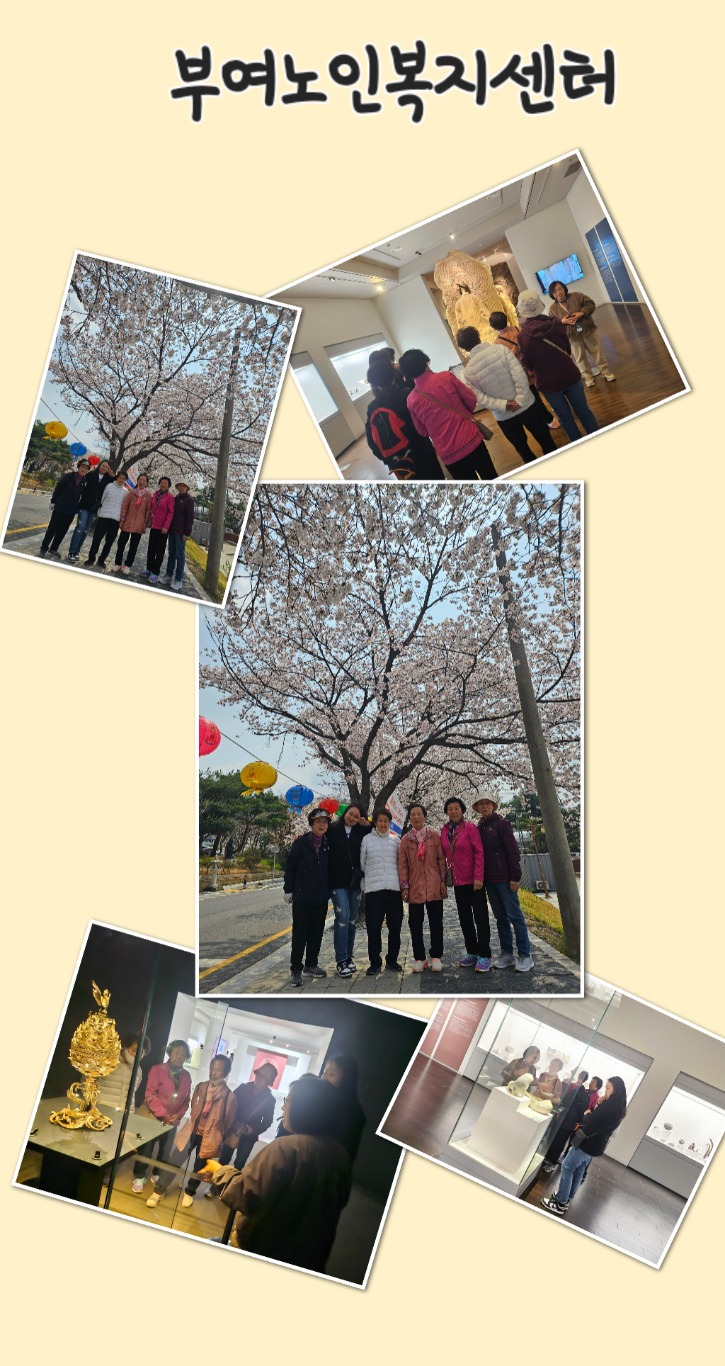 KakaoTalk_20250416_110318347.jpg